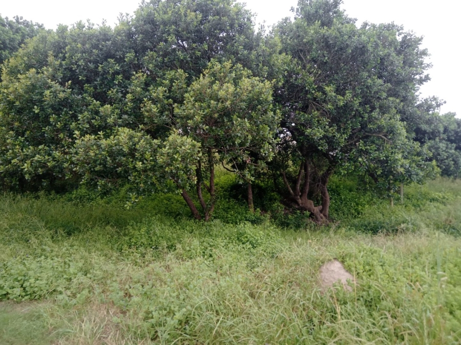 Commercial Property for Sale in Aston Bay Eastern Cape